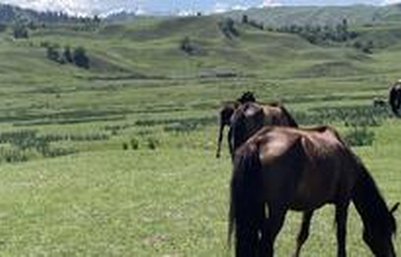 Yili is a grassland-and-lake route, not a rushed checklist across all of Xinjiang.
