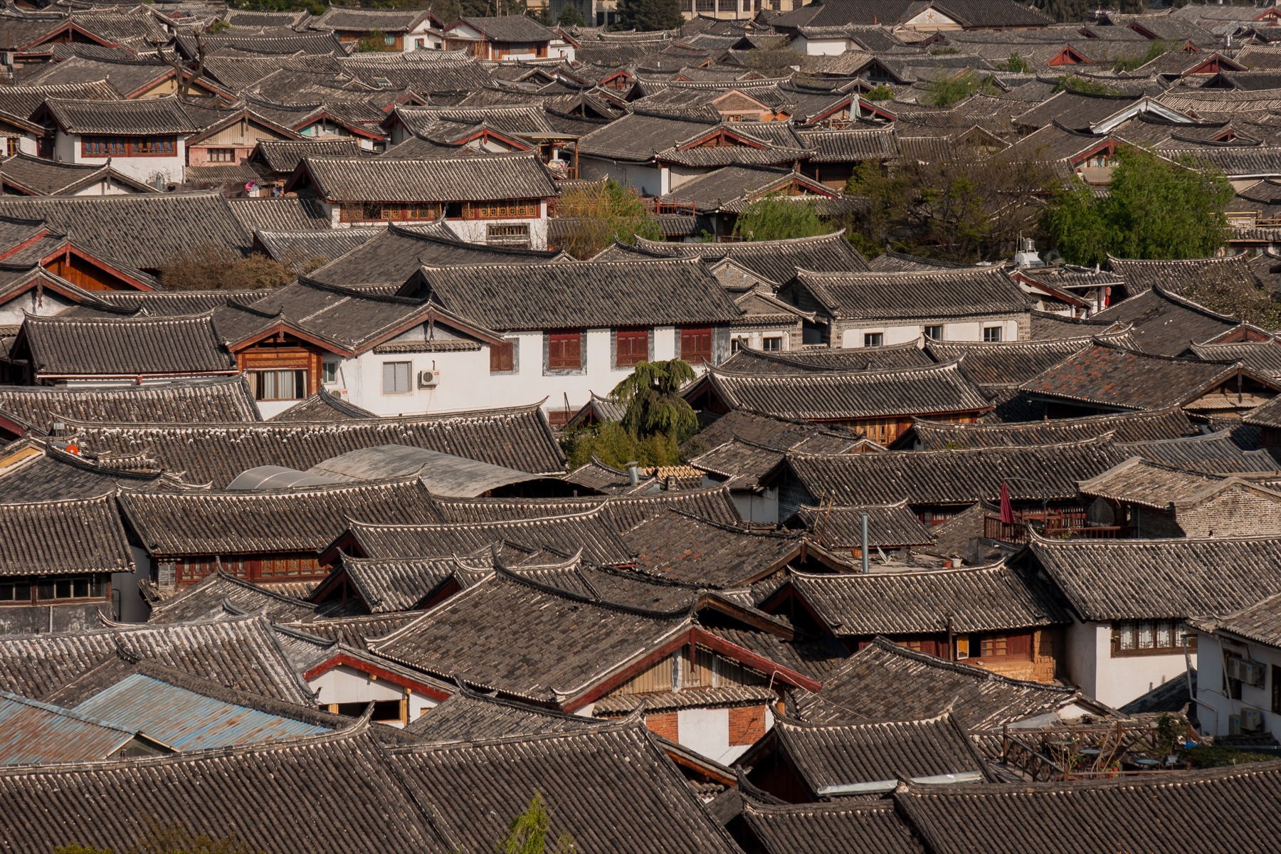 Gray tiled rooftops packed across Lijiang Old Town in Yunnan.