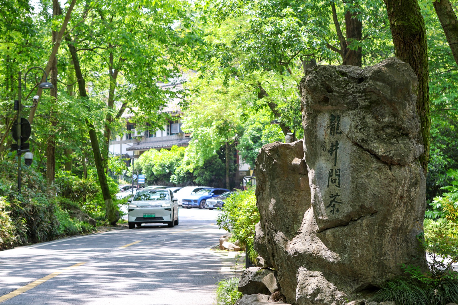 Longjing Village street and hillside scenery in Hangzhou.