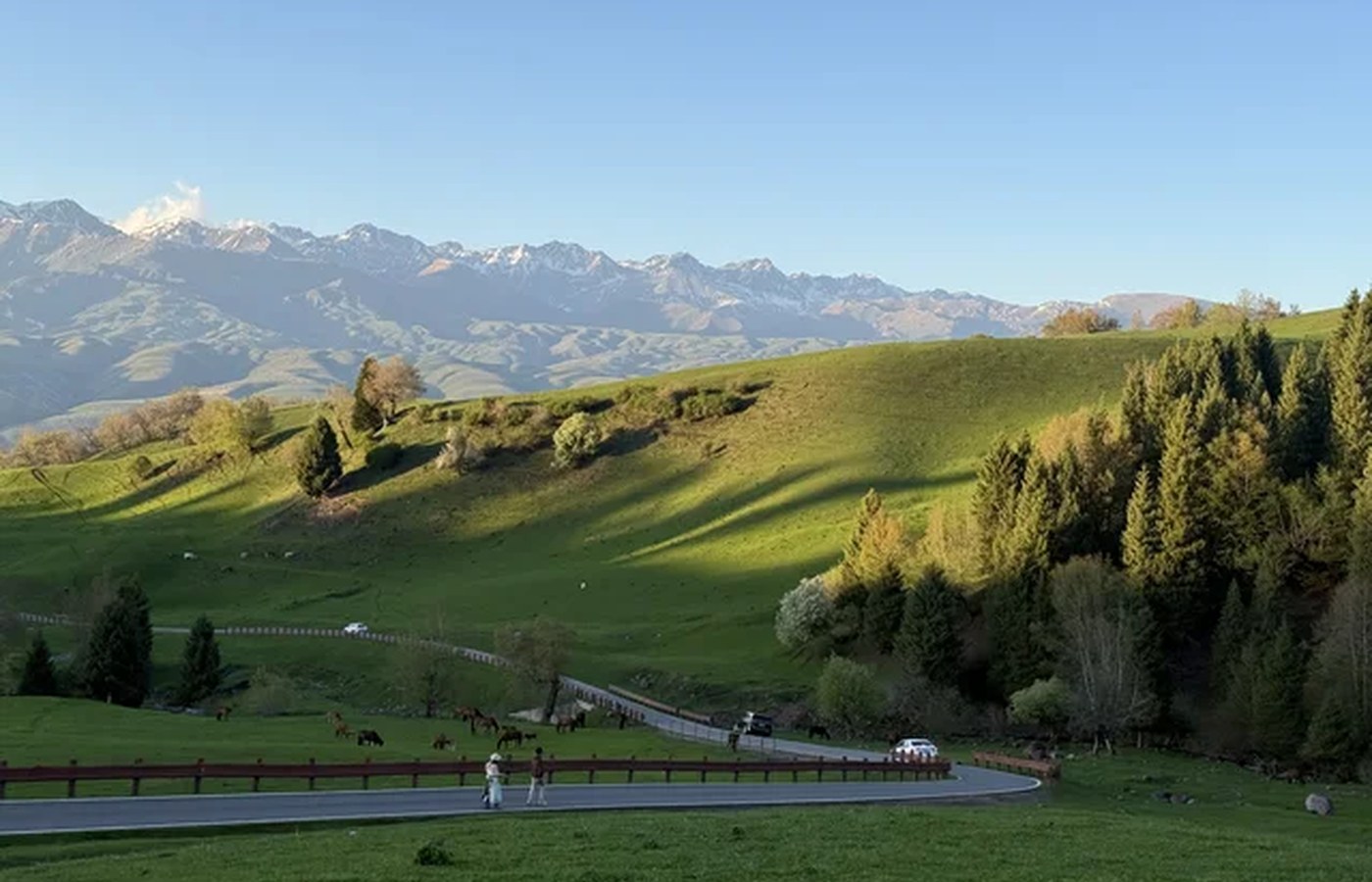 Nalati and nearby valleys change with grass, flowers, road openings, and hotel pressure.