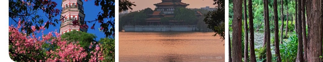Three Shunfengshan Park photos showing flowers, a lake pavilion, and forest paths.