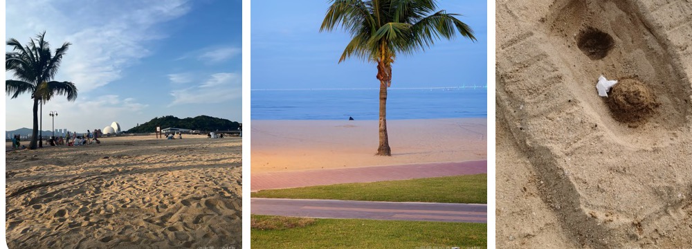 Three Xianglu Bay Beach photos showing sand, palm trees, and a small sand sculpture beside the Zhuhai coast.