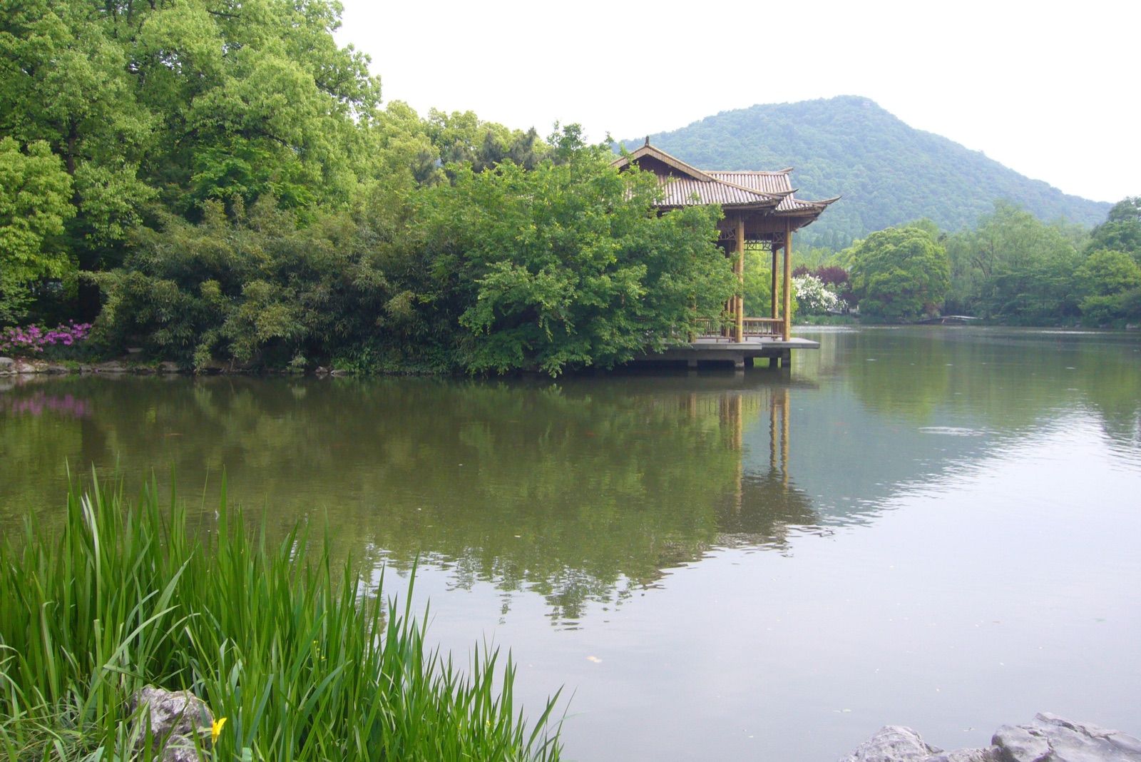 Water, trees, and buildings inside Xixi Wetland Park in Hangzhou.